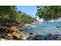 secret-beach-a-hidden-coastal-sanctuary-on-sri-lankas-southern-coast-in-mirissa-small-1