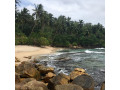 secret-beach-a-hidden-coastal-sanctuary-on-sri-lankas-southern-coast-in-mirissa-small-2