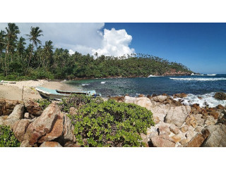 Secret Beach: A Hidden Coastal Sanctuary on Sri Lanka’s Southern Coast in Mirissa