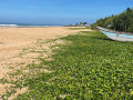 ahungalla-beach-a-tranquil-retreat-on-sri-lankas-southern-coast-in-ahangalla-small-2