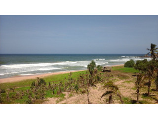 Ahungalla Beach: A Tranquil Retreat on Sri Lanka’s Southern Coast in Ahangalla