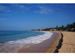 Narigama Beach: A Vibrant Coastal Gem on Sri Lanka’s Southern Shore in Galle