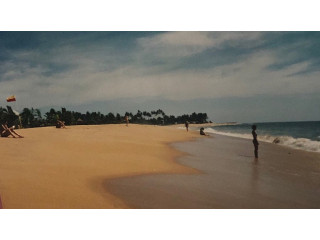 Medilla Beach: A Hidden Gem for Relaxation and Coastal Beauty in Sri Lanka in Matara