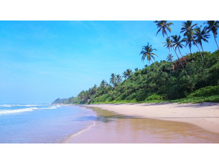 Medawatta Beach: A Tranquil Coastal Retreat on Sri Lanka’s Southern Shore in Matara