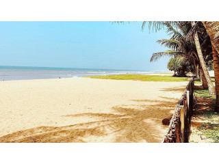 Wadduwa Beach: A Tranquil Coastal Retreat with Vibrant Charm in Wadduwa