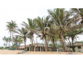 wellawatte-beach-a-vibrant-urban-escape-with-coastal-charm-in-wellawatha-small-1