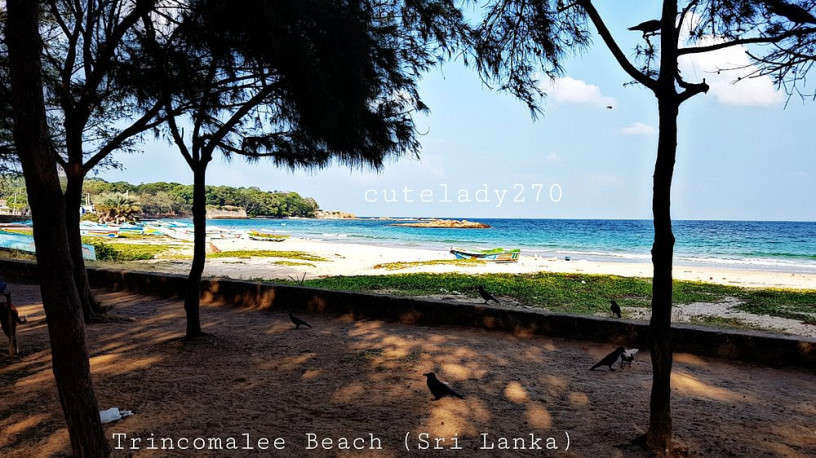 dutch-bay-a-historical-and-scenic-coastal-retreat-in-trincomalee-big-0