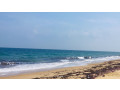 manalkadu-beach-a-hidden-coastal-sanctuary-with-natural-beauty-and-tranquility-in-jaffna-small-1