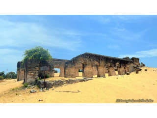 Manalkadu Beach: A Hidden Coastal Sanctuary with Natural Beauty and Tranquility in Jaffna