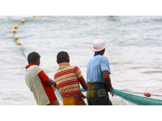 Kahandamodara Beach: A Hidden Coastal Paradise with Natural Serenity and Vibrant Ecosystems in Hambantota