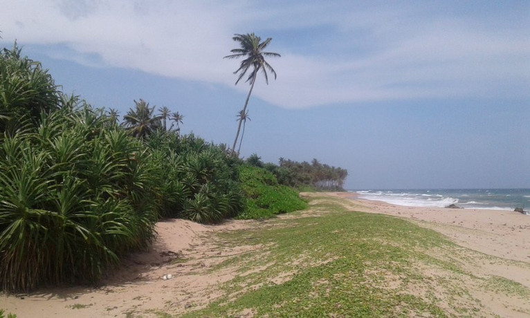 kahandamodara-beach-a-hidden-coastal-paradise-with-natural-serenity-and-vibrant-ecosystems-in-hambantota-big-2