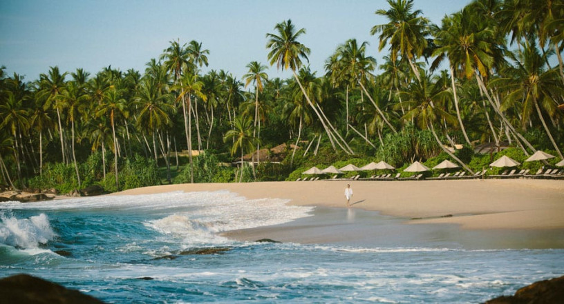 rangas-turtle-beach-point-a-coastal-sanctuary-for-turtle-conservation-and-natural-beauty-in-galle-big-0