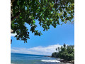 silent-beach-tangalle-a-tranquil-escape-to-untouched-coastal-bliss-in-tagalle-small-1