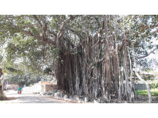 Pennai Causeway: A Scenic Gateway to Natural Beauty and Cultural Heritage in Jaffna