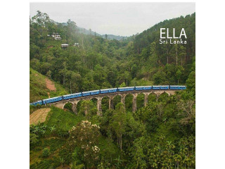 Nature Trail Ella: An Enchanting Journey Through Sri Lanka’s Lush Highlands in Ella