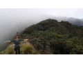 kirigalpoththa-hike-a-challenging-trek-to-sri-lankas-second-highest-peak-in-kirigalpoththa-small-1