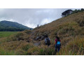 kirigalpoththa-hike-a-challenging-trek-to-sri-lankas-second-highest-peak-in-kirigalpoththa-small-3