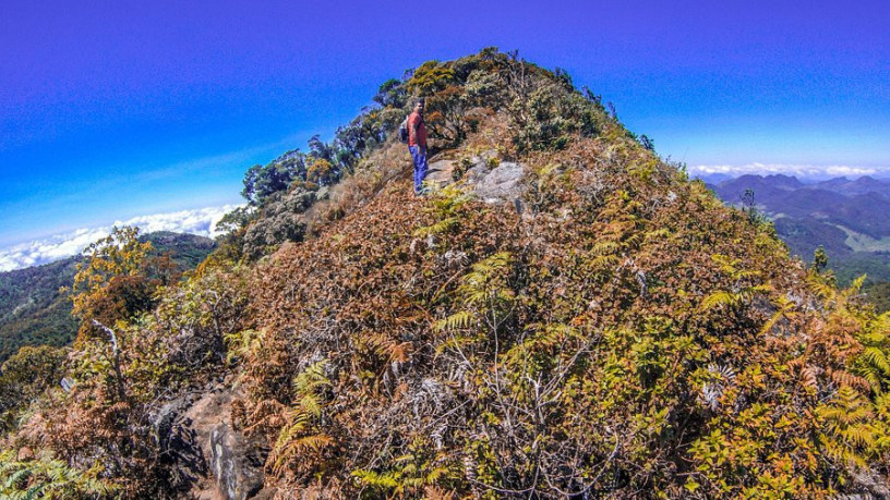 kirigalpoththa-hike-a-challenging-trek-to-sri-lankas-second-highest-peak-in-kirigalpoththa-big-0