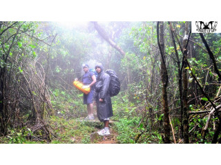 Thotupola Kanda Nature Trail: A Majestic Hike Through Sri Lanka's Untamed Highlands in Nuwaraeliya