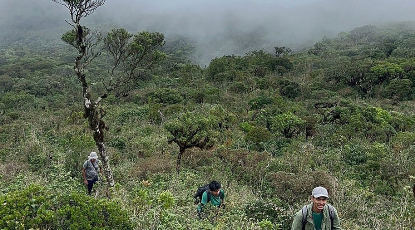 thotupola-kanda-nature-trail-a-majestic-hike-through-sri-lankas-untamed-highlands-in-nuwaraeliya-big-3