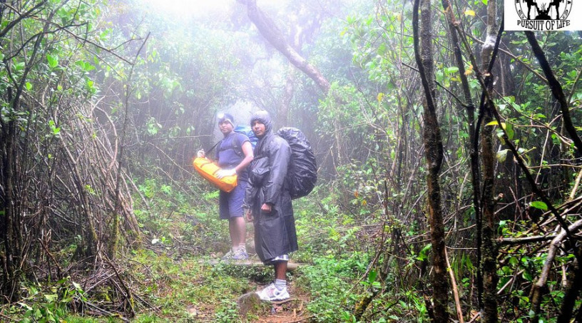 thotupola-kanda-nature-trail-a-majestic-hike-through-sri-lankas-untamed-highlands-in-nuwaraeliya-big-0