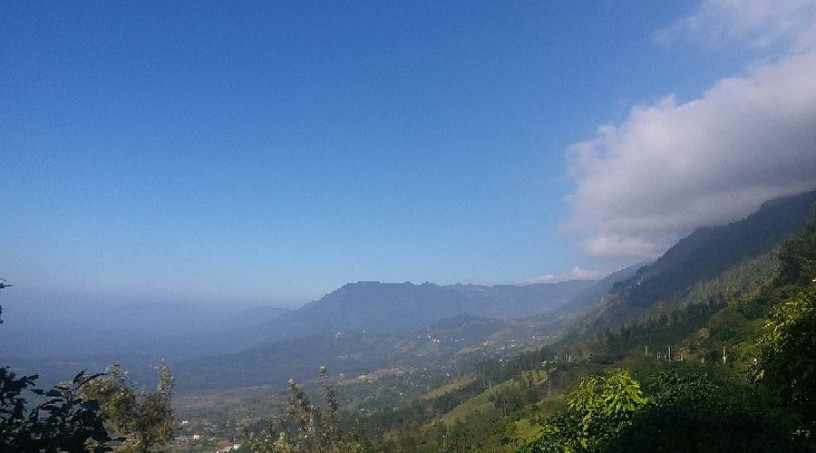 thotupola-kanda-nature-trail-a-majestic-hike-through-sri-lankas-untamed-highlands-in-nuwaraeliya-big-2