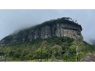 The Pekoe Trail: A Scenic Journey Through Sri Lanka’s Historic Tea Plantations in Nuwaraeliya