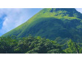 narangala-mountainous-tourism-explore-the-majestic-peaks-and-scenic-robinsons-path-in-ella-small-1