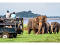 yala-national-park-a-premier-safari-destination-in-sri-lanka-small-3