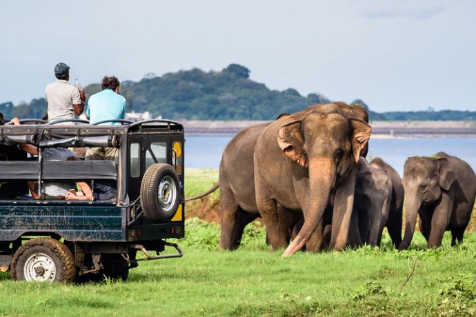 yala-national-park-a-premier-safari-destination-in-sri-lanka-big-3