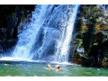 sinharaja-rainforest-tour-an-immersive-journey-through-sri-lankas-biodiverse-wilderness-in-ratnapura-small-3