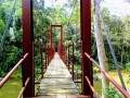 sinharaja-rainforest-tour-an-immersive-journey-through-sri-lankas-biodiverse-wilderness-in-ratnapura-small-2