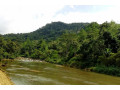 sinharaja-rainforest-tour-an-immersive-journey-through-sri-lankas-biodiverse-wilderness-in-ratnapura-small-1