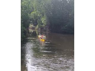 Unawatuna Lagoon Canoeing Excursion: A Serene Paddle Through Coastal Waters and Verdant Wetlands in Unawatuna