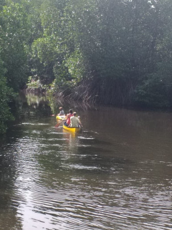 unawatuna-lagoon-canoeing-excursion-a-serene-paddle-through-coastal-waters-and-verdant-wetlands-in-unawatuna-big-0