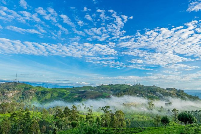 liptons-seat-tea-factory-trail-a-scenic-day-tour-amidst-sri-lankas-tea-plantations-in-nuwaraeliya-big-2