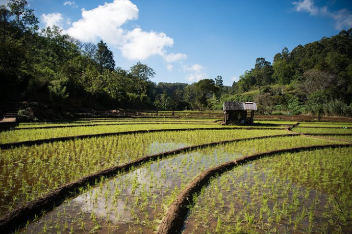 blend-of-shore-and-hills-a-14-day-sri-lanka-adventure-from-beaches-to-highlands-big-1