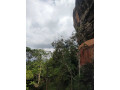 sigiriya-the-majestic-lion-rock-fortress-of-sri-lanka-in-anuradapura-small-4