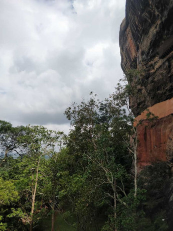 sigiriya-the-majestic-lion-rock-fortress-of-sri-lanka-in-anuradapura-big-4