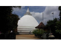 kelaniya-raja-maha-viharaya-a-historic-buddhist-temple-in-colombo-small-2