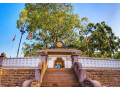 jaya-sri-maha-bodhi-the-sacred-bodhi-tree-of-anuradhapura-small-2