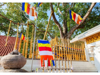 Jaya Sri Maha Bodhi, The Sacred Bodhi Tree of Anuradhapura