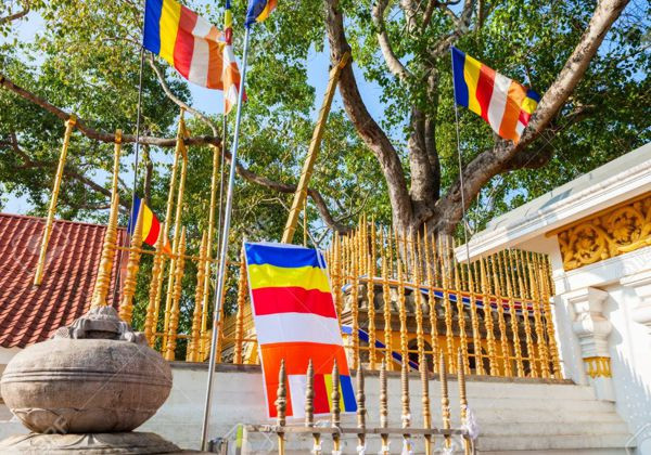 jaya-sri-maha-bodhi-the-sacred-bodhi-tree-of-anuradhapura-big-0