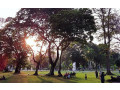 viharamahadevi-park-colombos-tranquil-green-oasis-in-colombo-small-1