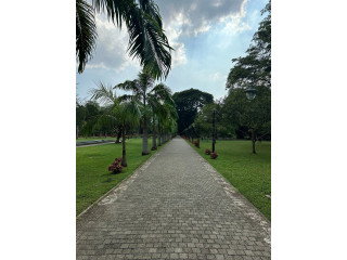 Viharamahadevi Park, Colombo’s Tranquil Green Oasis in Colombo