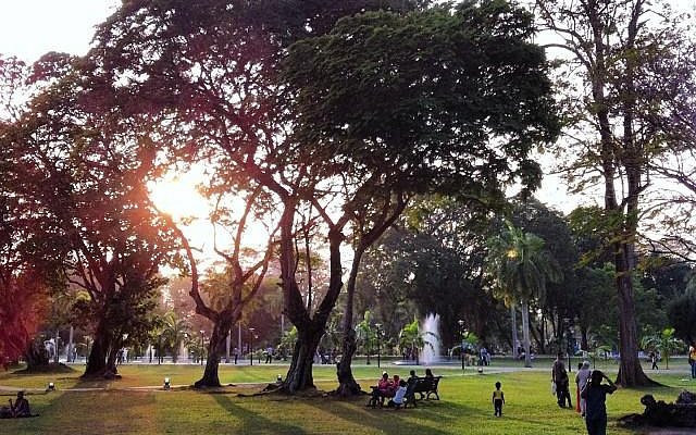 viharamahadevi-park-colombos-tranquil-green-oasis-in-colombo-big-1