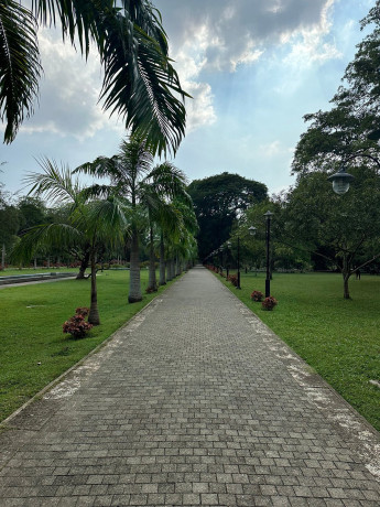 viharamahadevi-park-colombos-tranquil-green-oasis-in-colombo-big-0