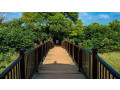 beddagana-wetland-park-colombos-urban-nature-reserve-in-colombo-small-0