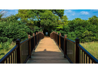 Beddagana Wetland Park, Colombo’s Urban Nature Reserve in Colombo