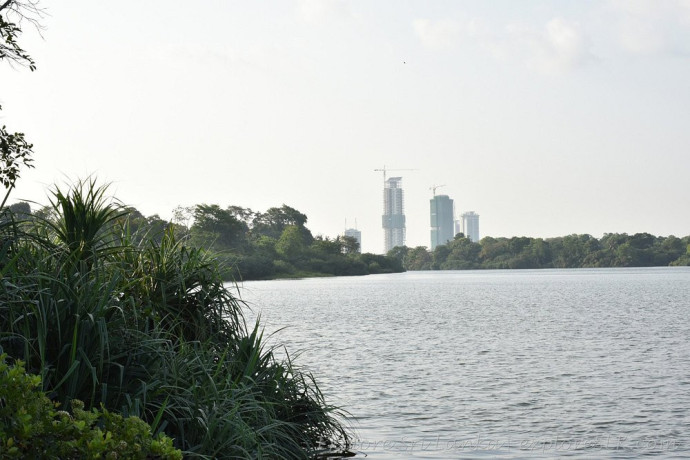 beddagana-wetland-park-colombos-urban-nature-reserve-in-colombo-big-3